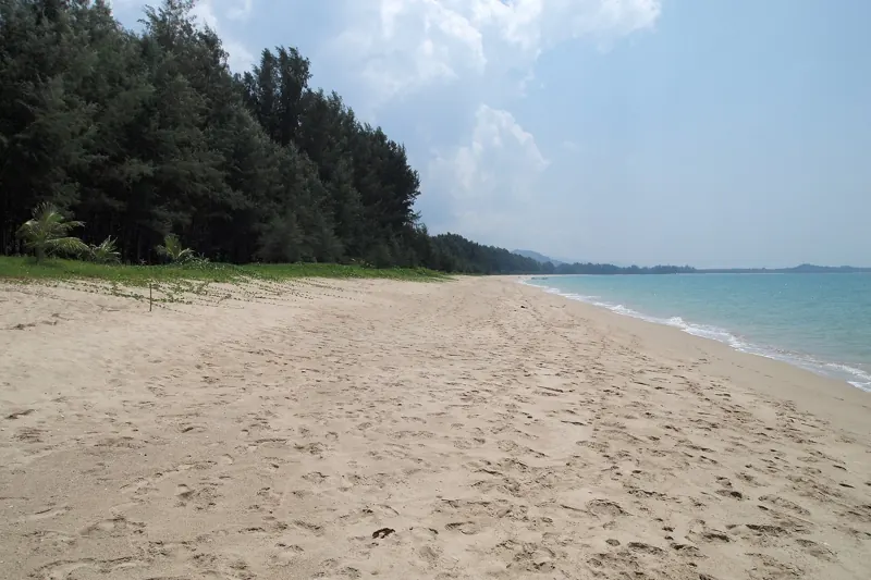 Playa larga y vacía de arena clara, con un bosque costero a un lado y el mar de Andamán en calma al otro.