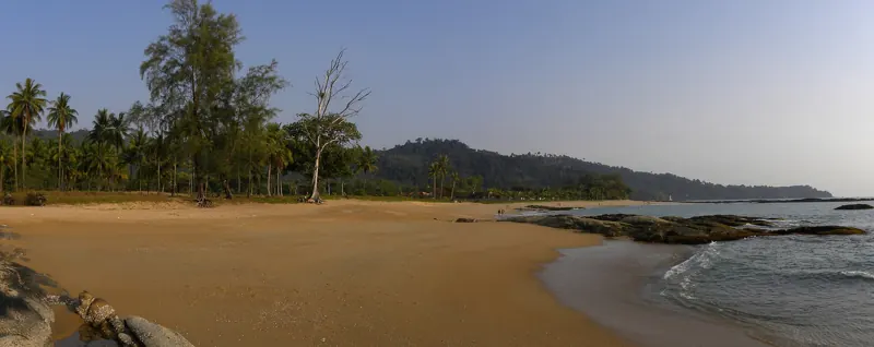 Playa de arena dorada con palmeras, un árbol seco y rocas planas junto al agua, al pie de cerros con selva.