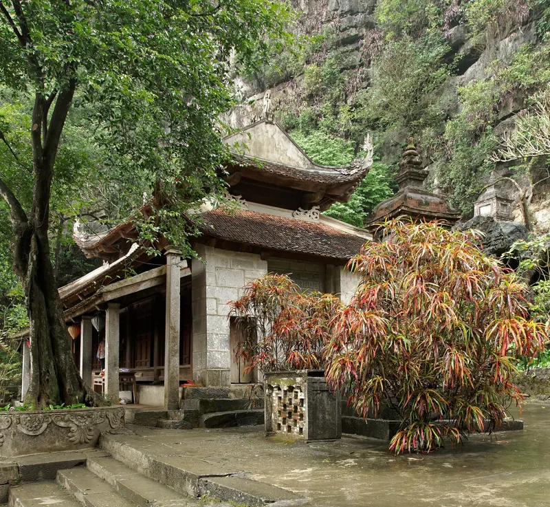 Pagoda Bich Dong con techos de teja al pie de un acantilado de roca caliza, entre árboles y plantas de hojas rojas.